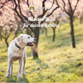 Bild in Galerie-Betrachter laden, Omega-3-Öl Hund  (500ml Flasche)