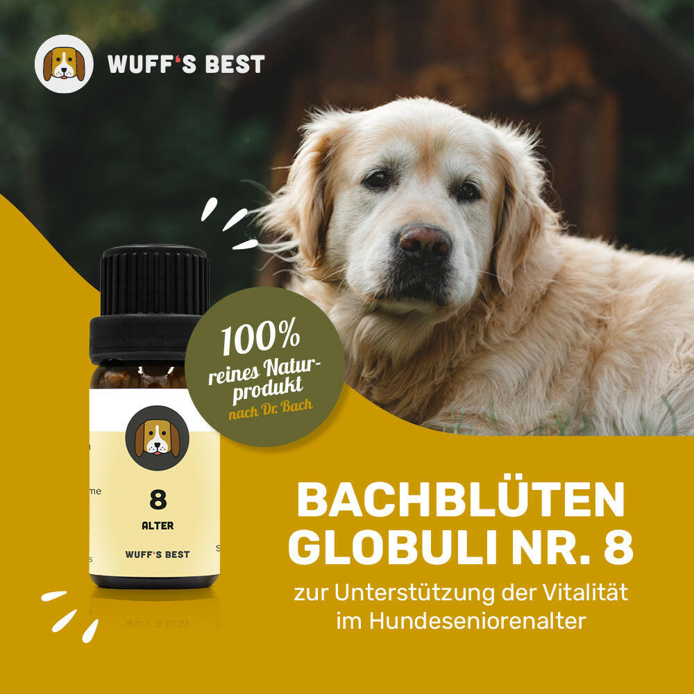 Bachblüten_Alter_Globuli_Nr.8