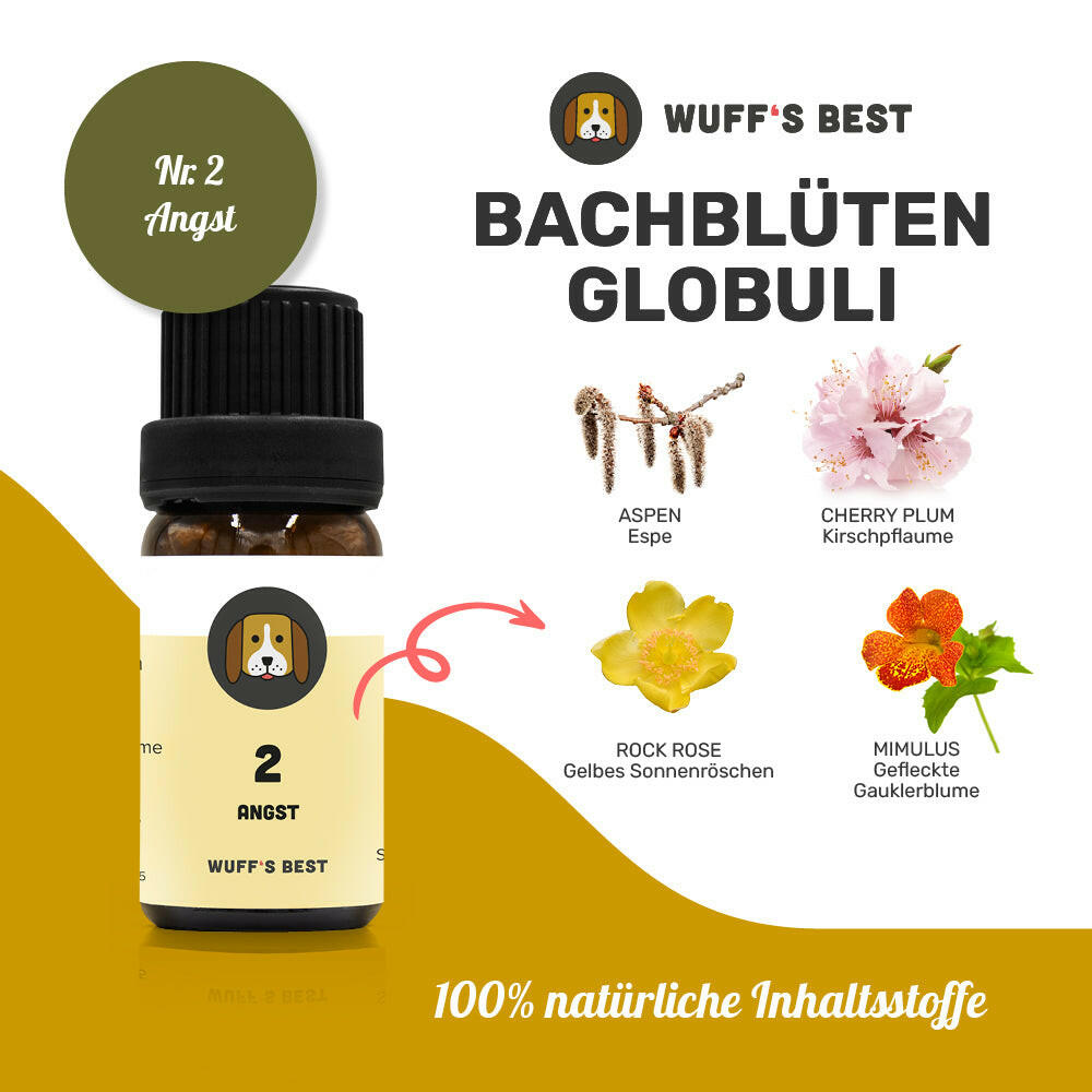 Bachblüten_Angst_Globuli_Nr.2