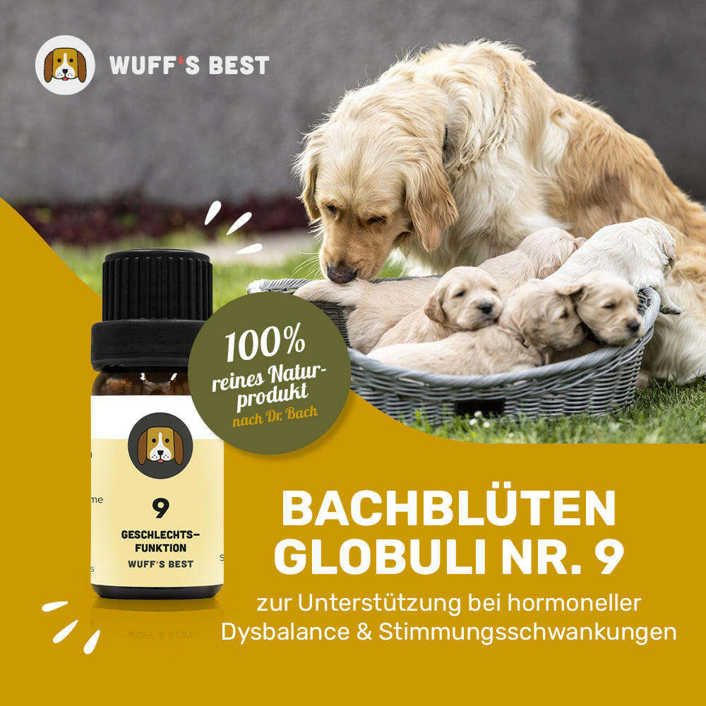 Bachblüten_Geschlechtsfunktion_Globuli_Nr.9