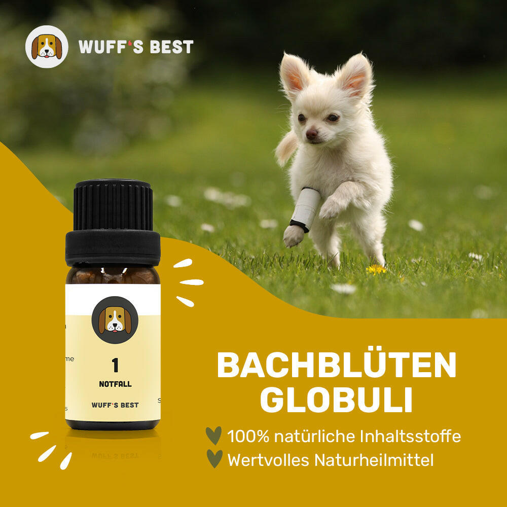 Bachblüten_Notfall_Globuli_Nr.1