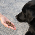 Bild in Galerie-Betrachter laden, Mini Würfel Rind Hundeleckerlis (250g)