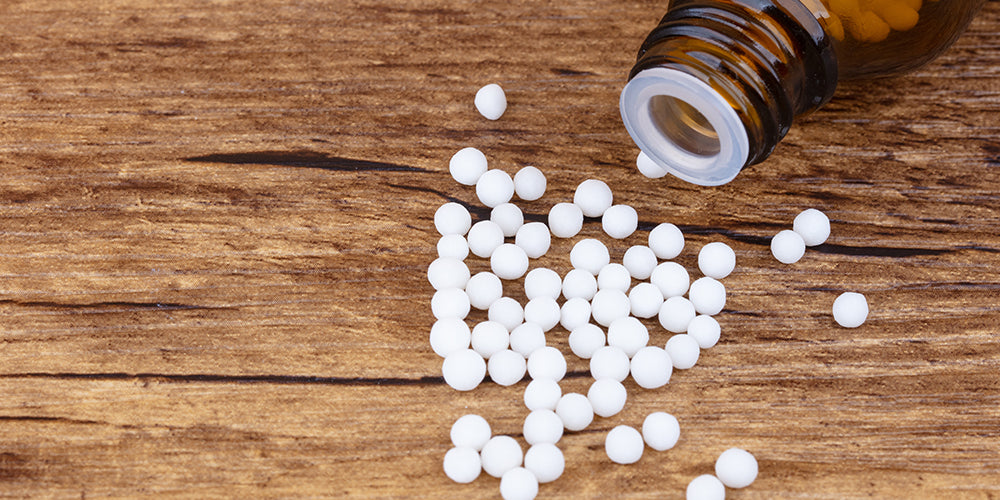 Bachblüten für Hunde