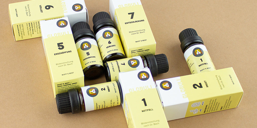 Bachblüten für Hunde