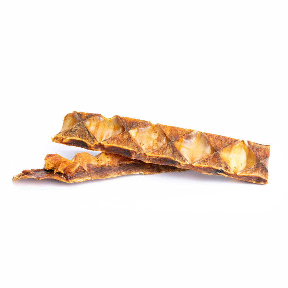 Große Thunfisch Knochen für Hunde (100g oder 1.000g)