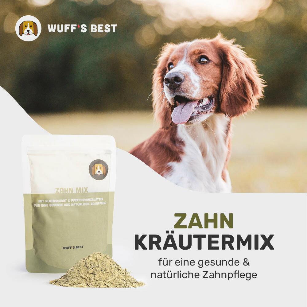 Zahn_Kräutermix_Kräuter_für_Hunde