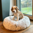 Bild in Galerie-Betrachter laden, Orthopädisches Hundebett in 2 verschiedenen Größen