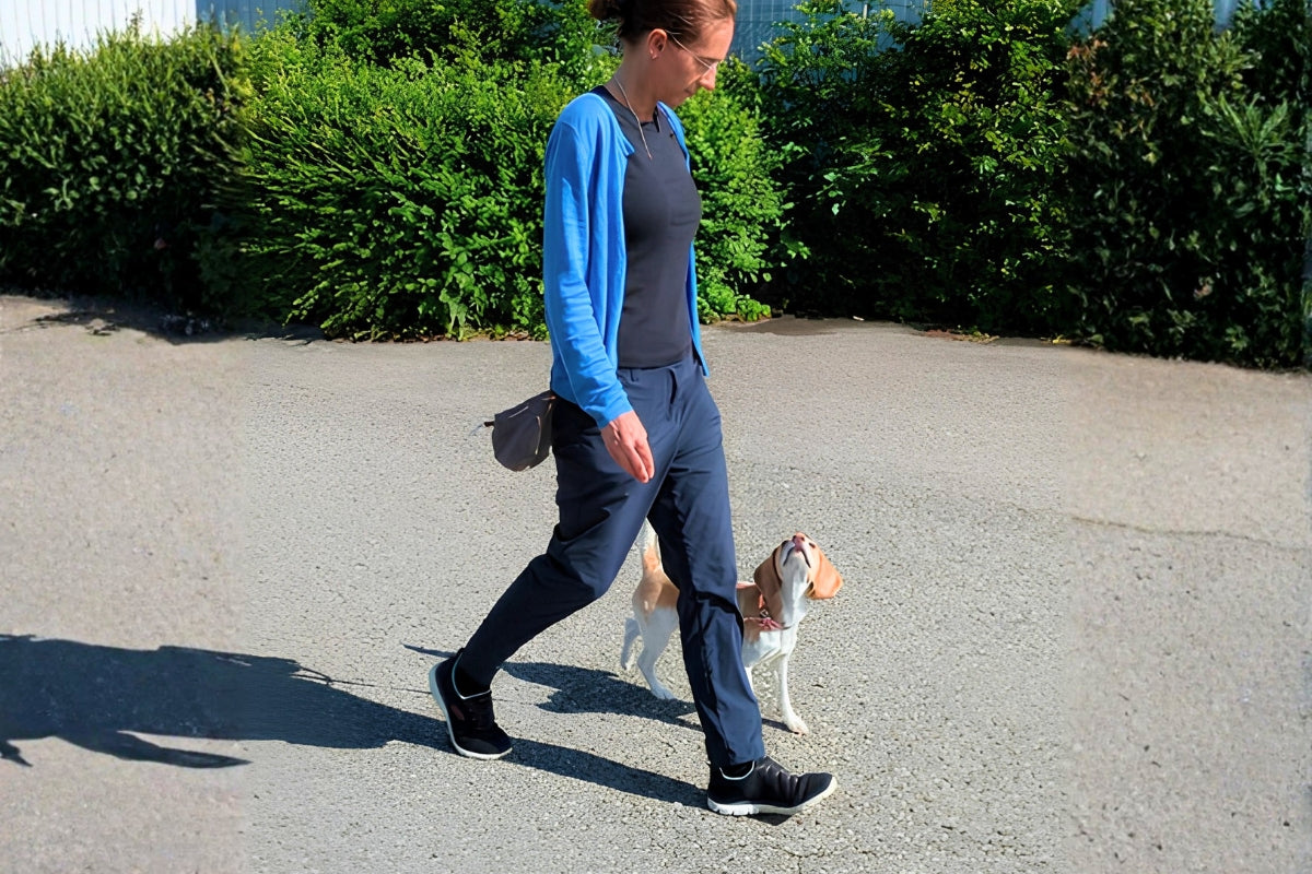 Belohnen statt Bestechen – So lernen Hunde nachhaltig