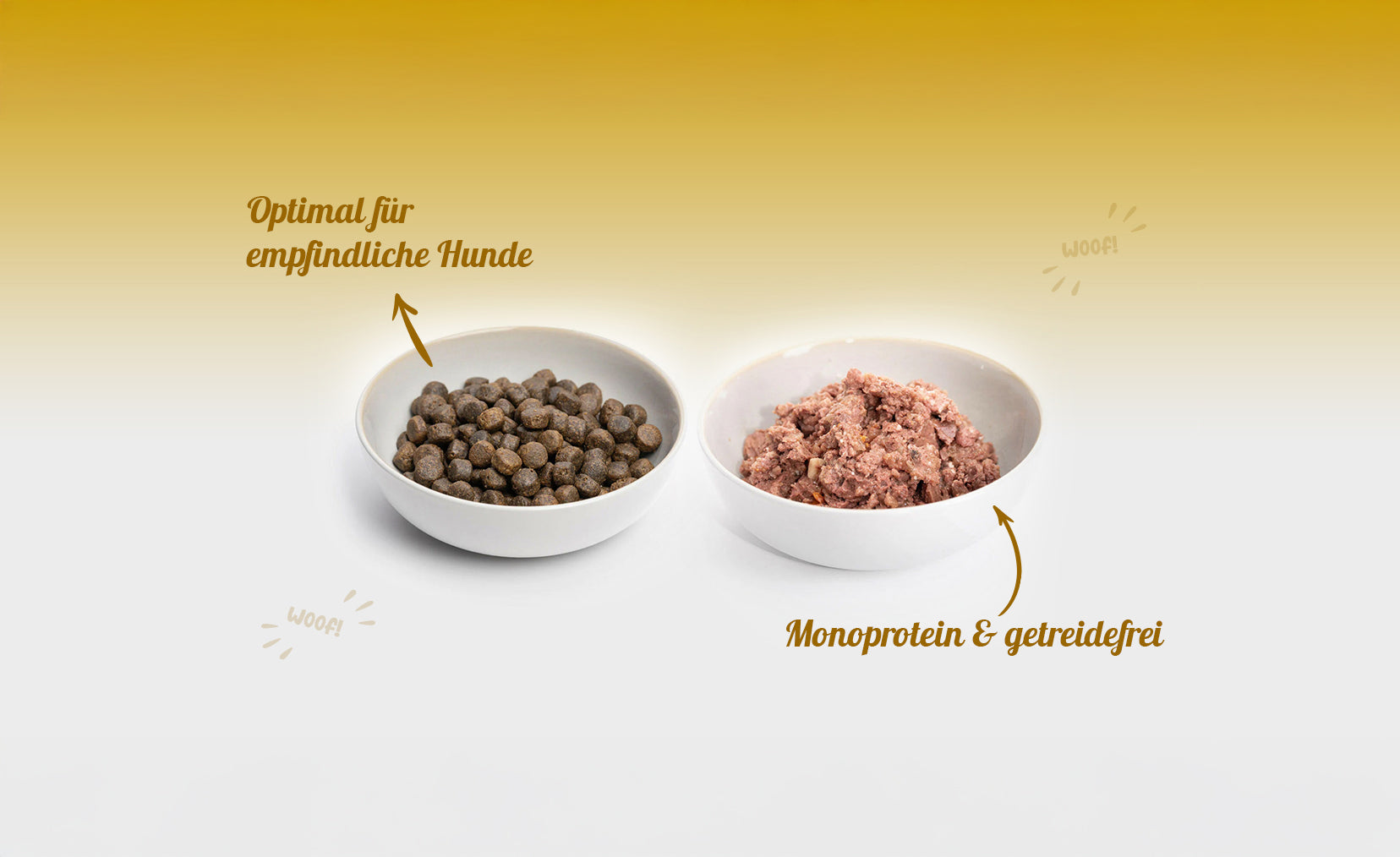 Blog Titelbild Hypoallergenes Hundefutter Vorteile für Allergiker