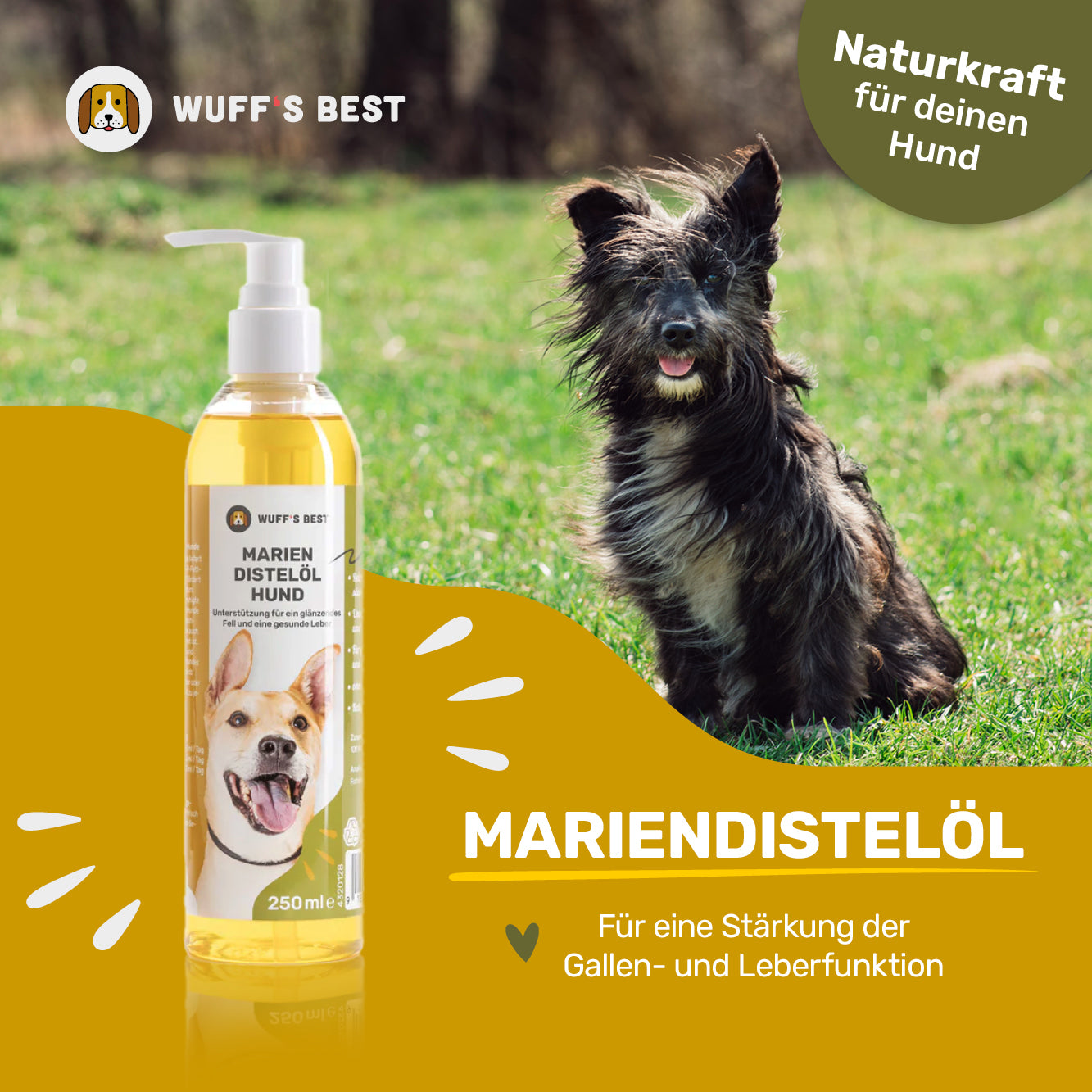 Mariendistelöl Hund (250ml Flasche)