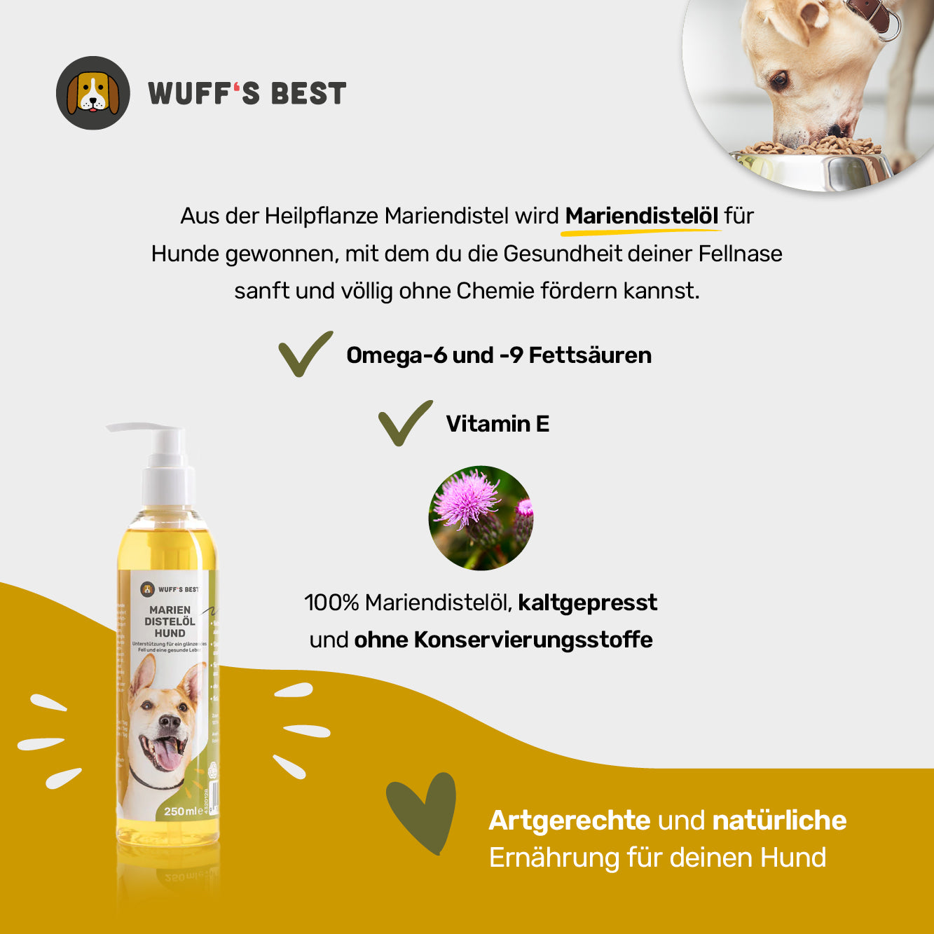 Mariendistelöl Hund (250ml Flasche)