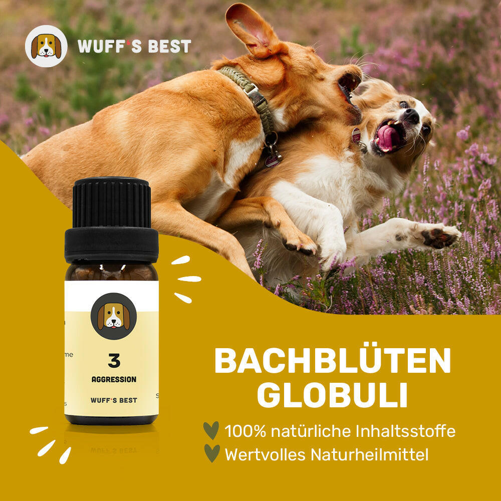 Bachblüten_Aggression_Globuli_Nr.3