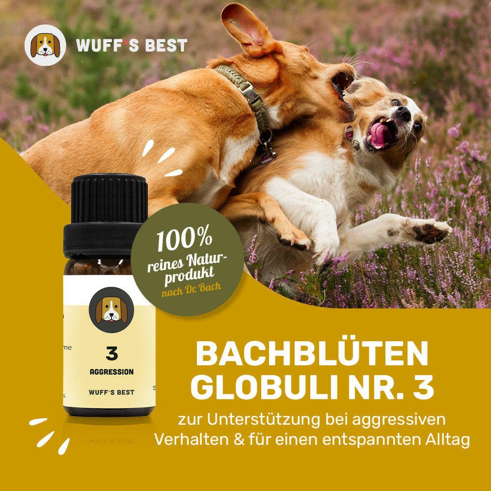 Bachblüten_Aggression_Globuli_Nr.3