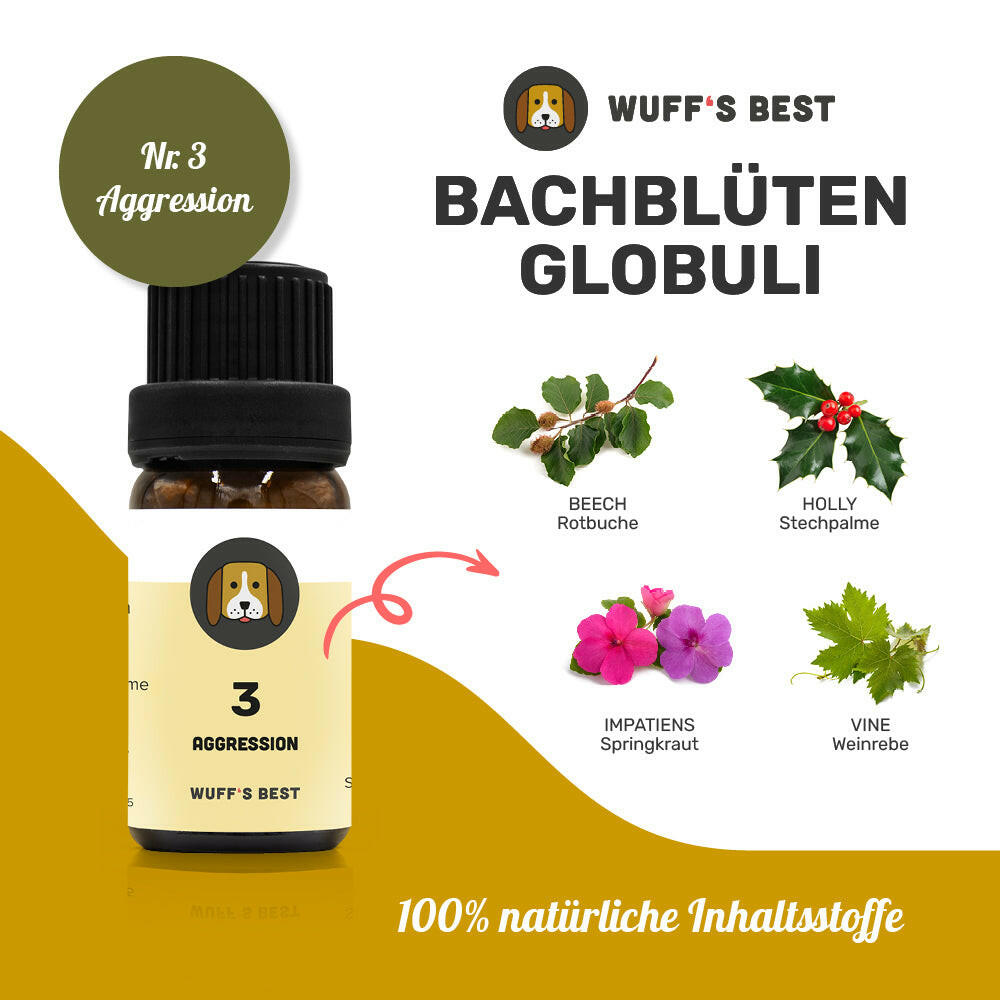 Bachblüten_Aggression_Globuli_Nr.3