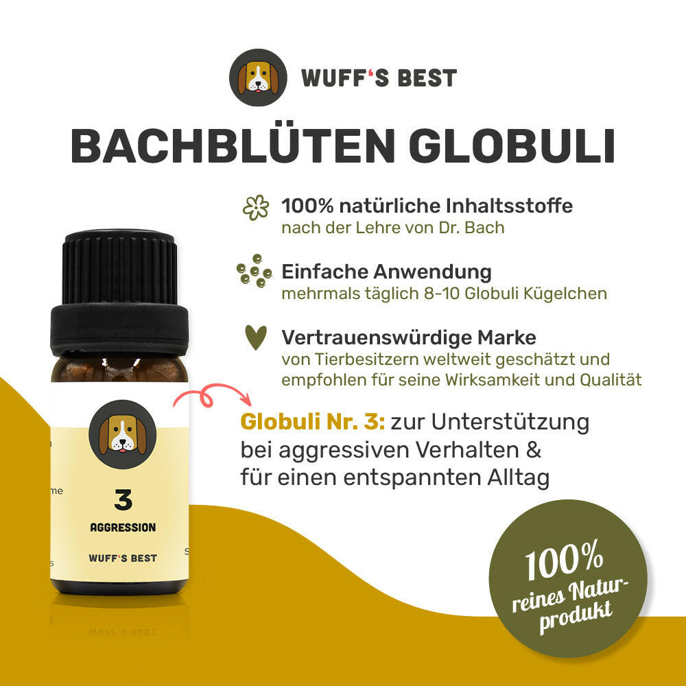 Bachblüten_Aggression_Globuli_Nr.3