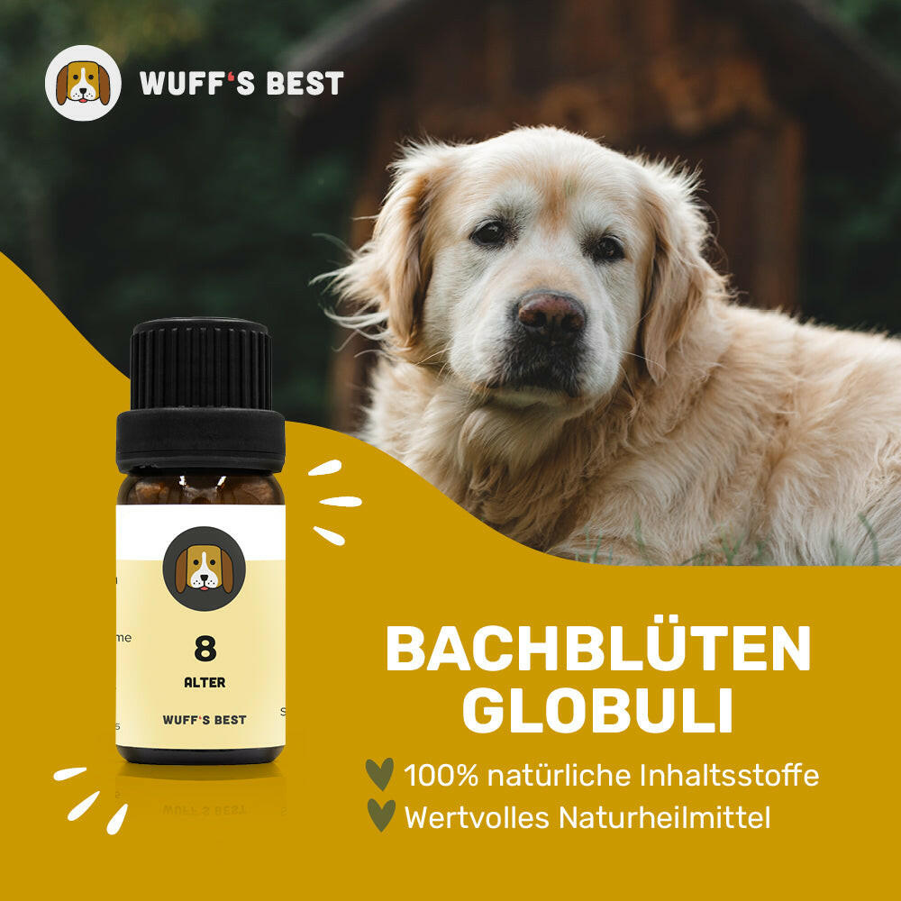 Bachblüten_Alter_Globuli_Nr.8