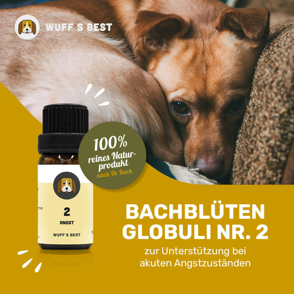 Bachblüten_Angst_Globuli_Nr.2