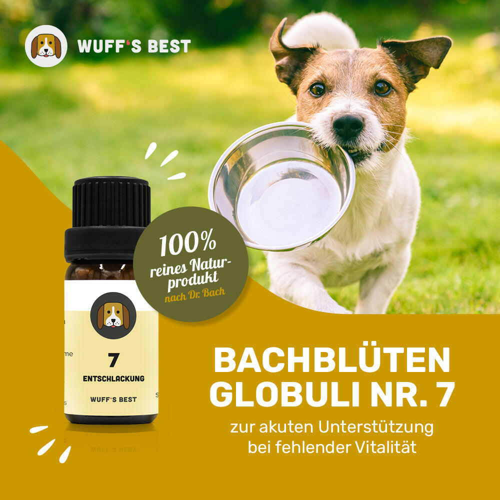 Bachblüten_Entschlackung_Globuli_Nr.7