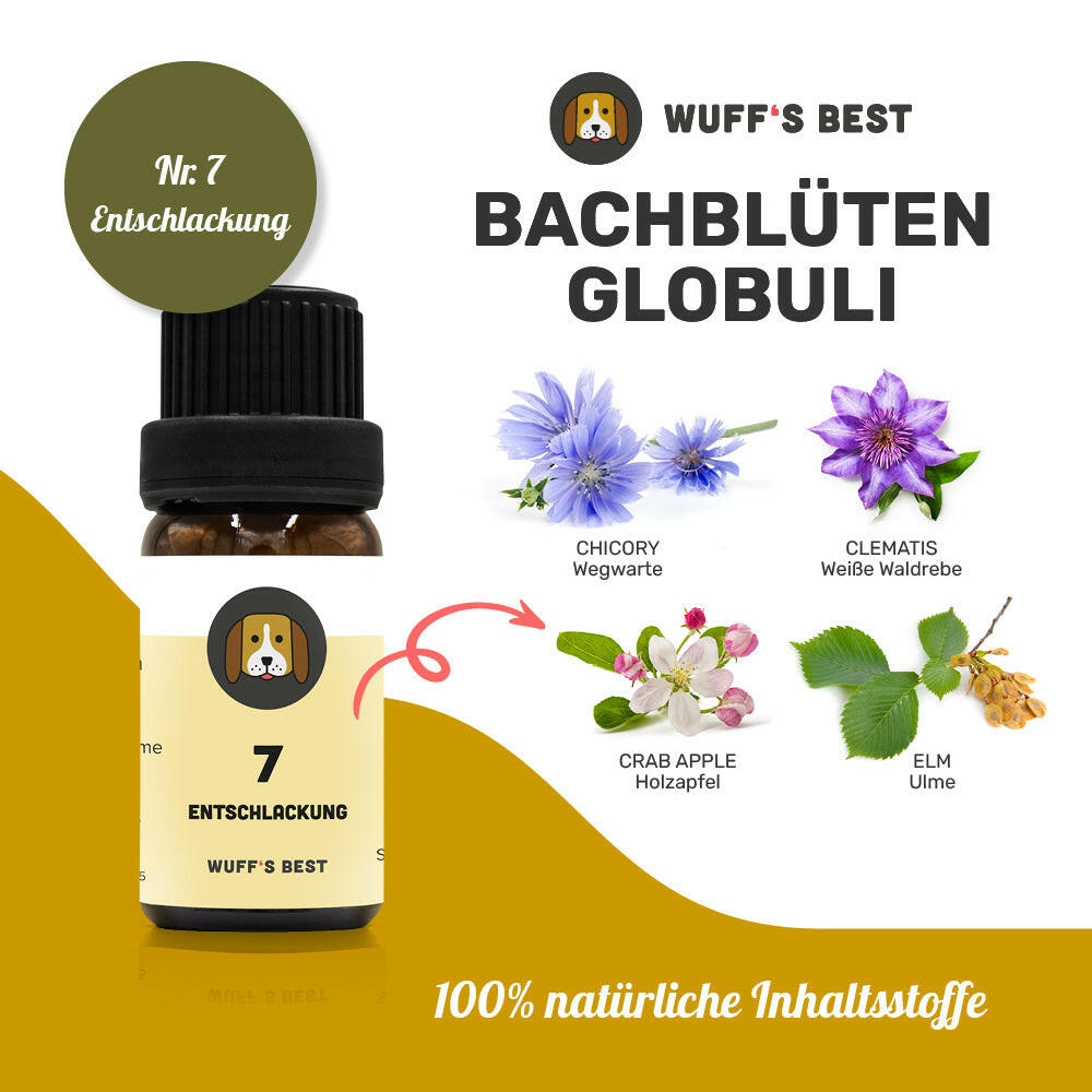 Bachblüten_Entschlackung_Globuli_Nr.7