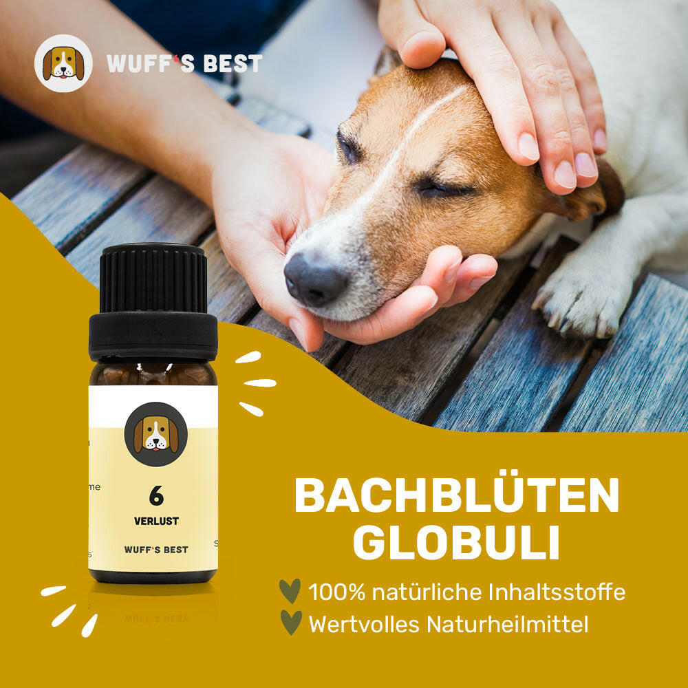 Bachblüten_Verlust_Globuli_Nr.6