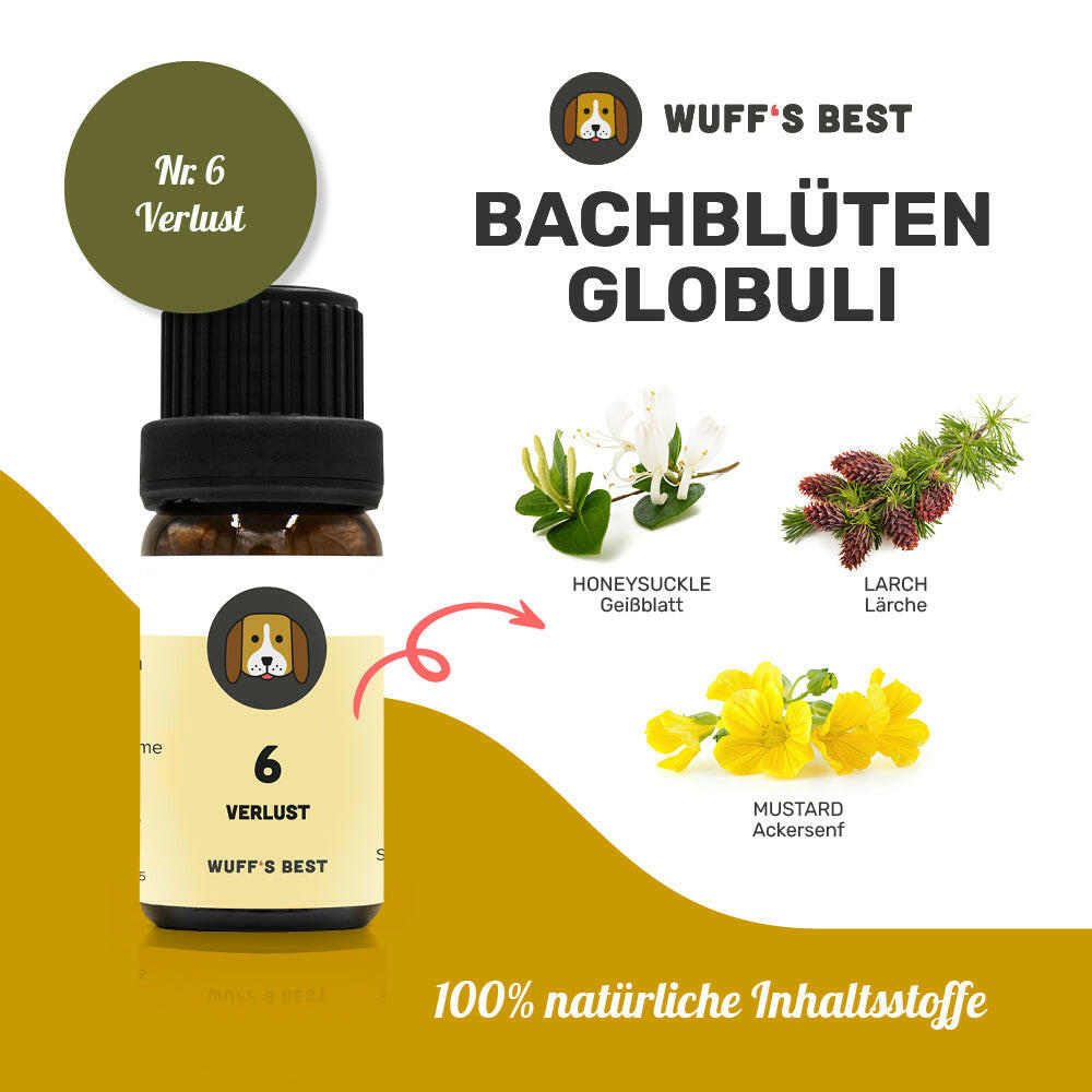 Bachblüten_Verlust_Globuli_Nr.6