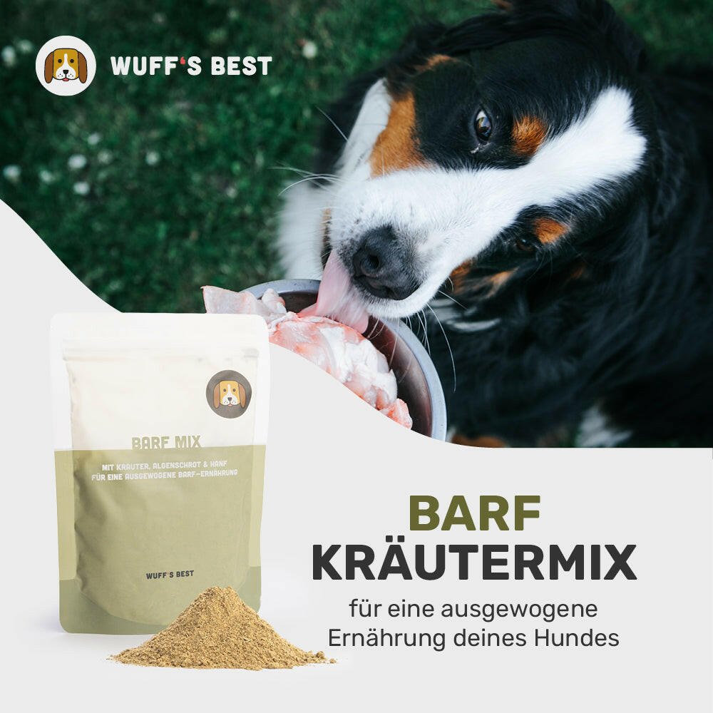 Barf_Kräutermix_Kräuter_für_Hunde