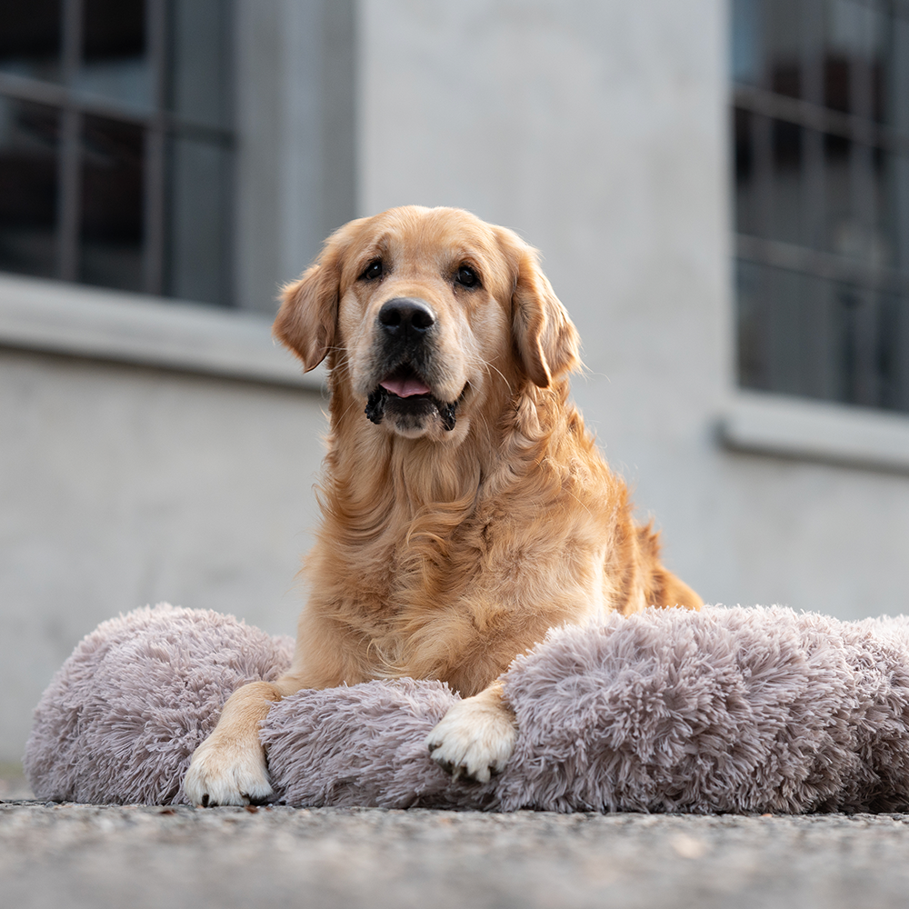 Kuscheliges Hundebett (beige)