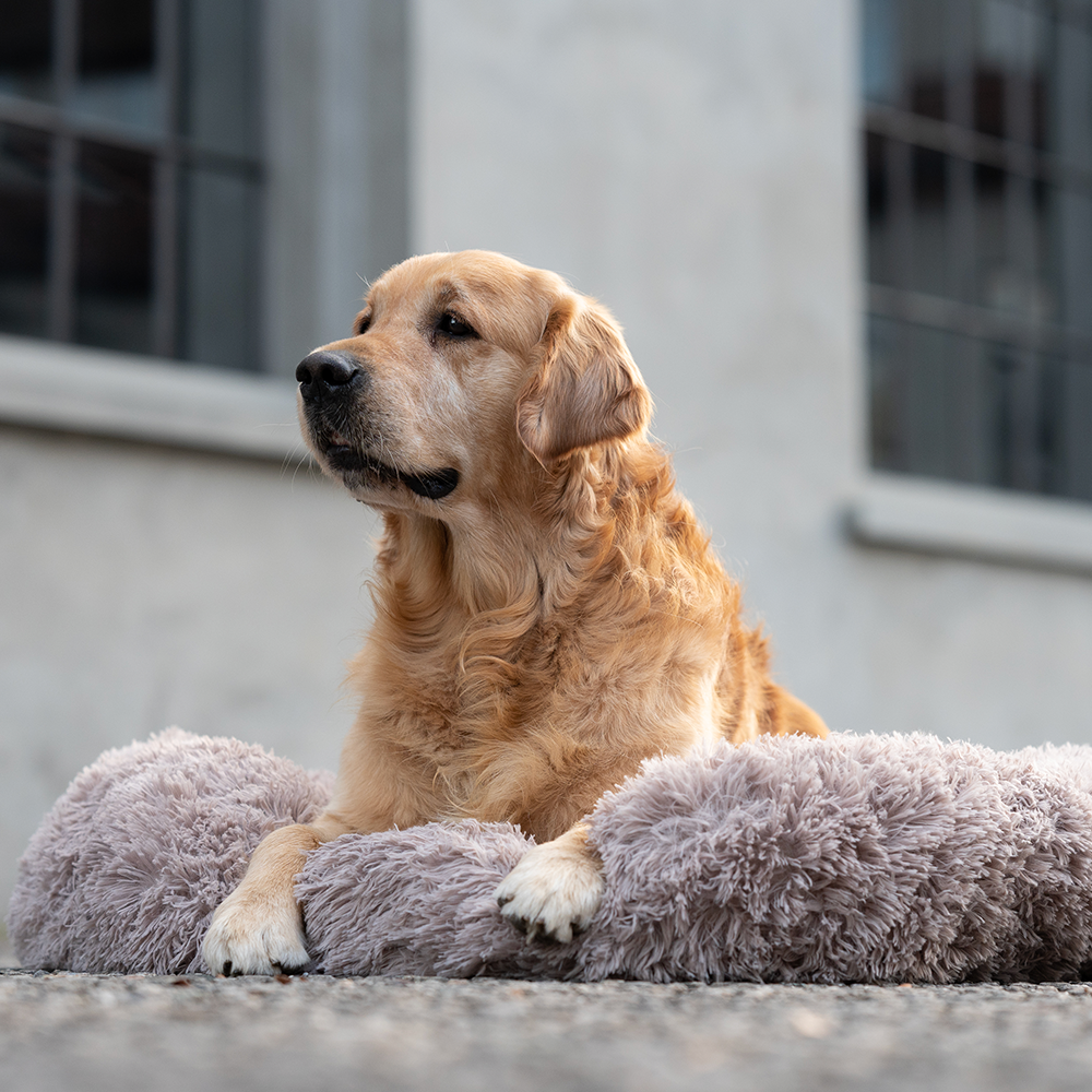 Kuscheliges Hundebett (beige)