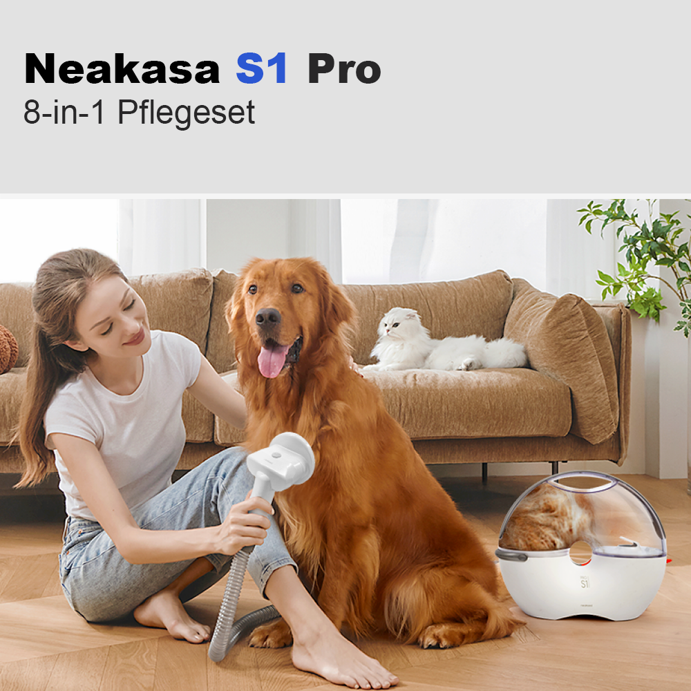 Neakasa S1 Pro im Einsatz (Golden Retriever)