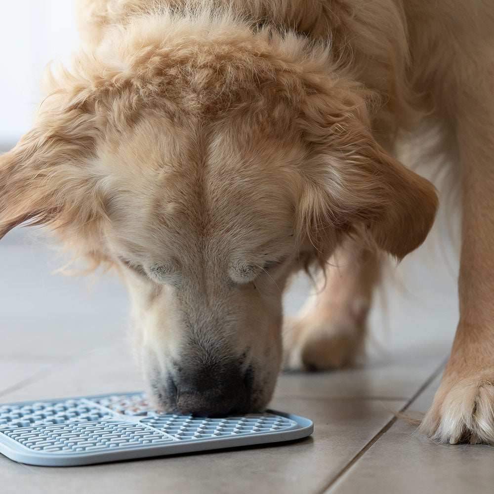 Schleckmatte für Hunde (blau)