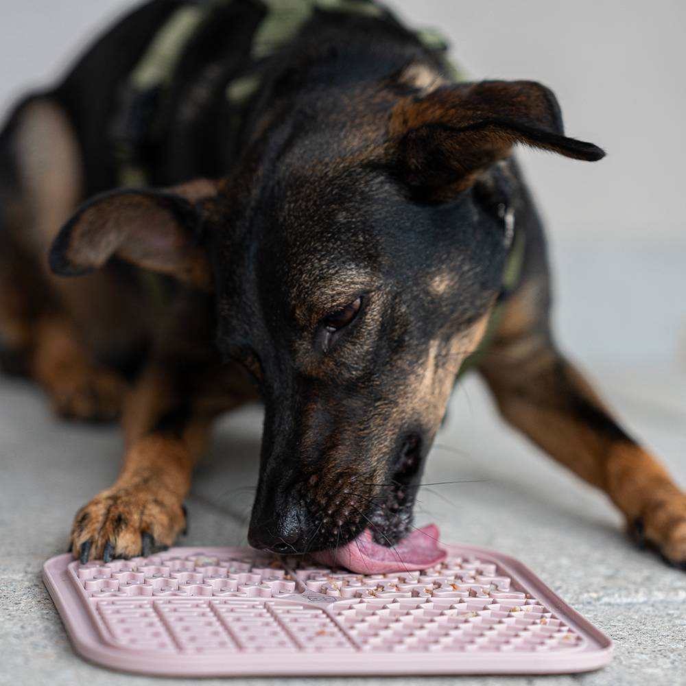 Schleckmatte für Hunde (rosa).