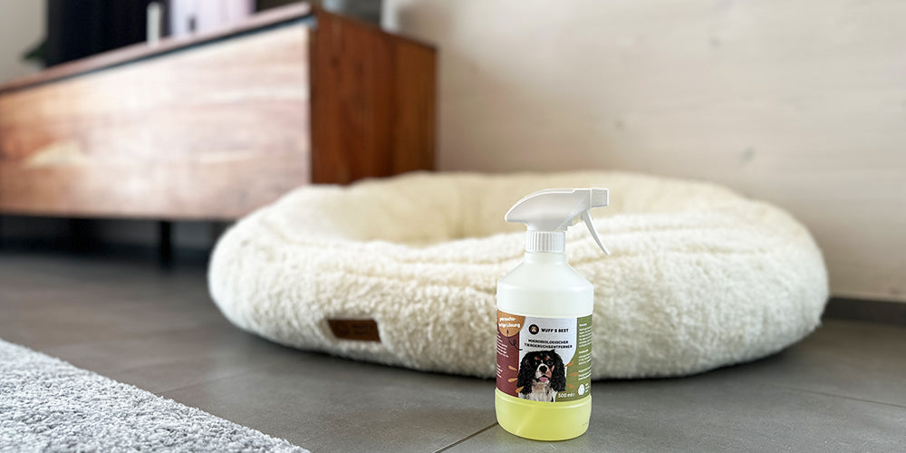 Tiergeruchsentferner